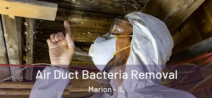 Air Duct Bacteria Removal Marion - IL