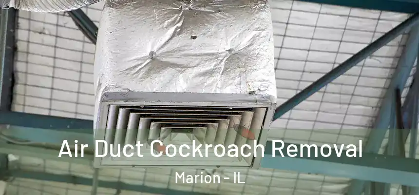 Air Duct Cockroach Removal Marion - IL