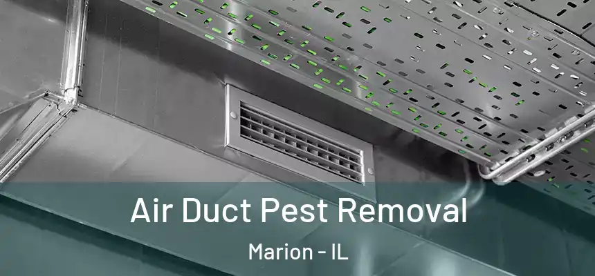 Air Duct Pest Removal Marion - IL