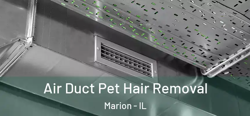 Air Duct Pet Hair Removal Marion - IL