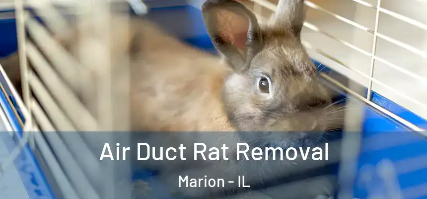 Air Duct Rat Removal Marion - IL