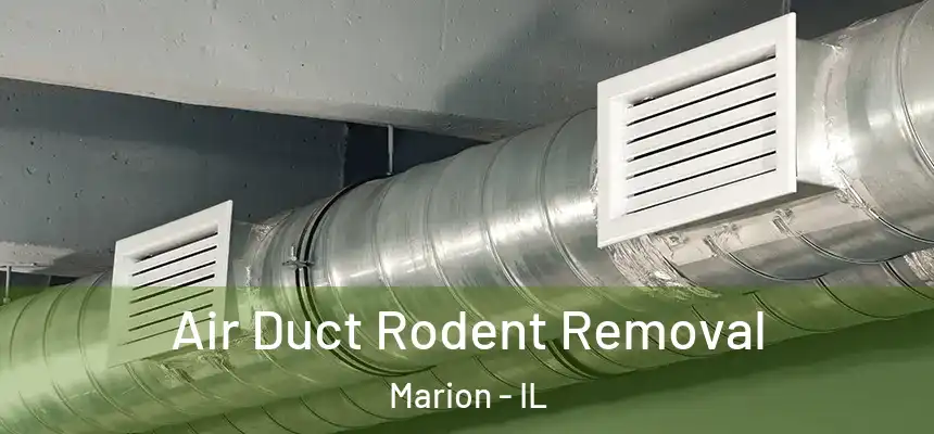 Air Duct Rodent Removal Marion - IL
