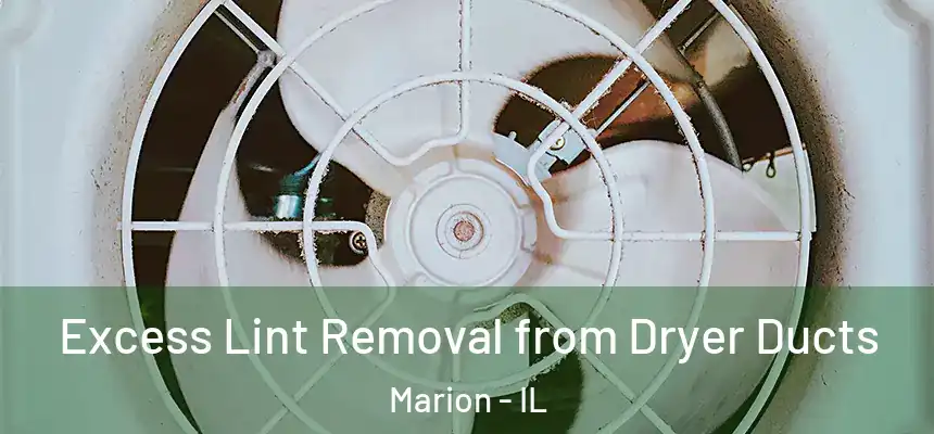 Excess Lint Removal from Dryer Ducts Marion - IL