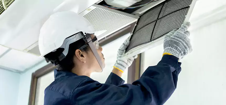 Our Mold & Mildew Removal from Air Ducts Services in Marion, IL