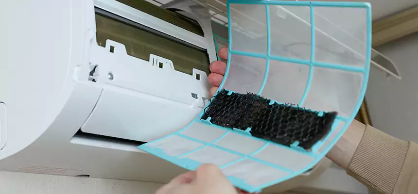 Gentle Ductwork Odor-Control Pet Dander Duct Cleaning in Marion, IL