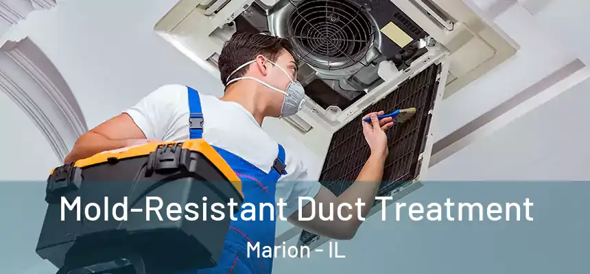 Mold-Resistant Duct Treatment Marion - IL