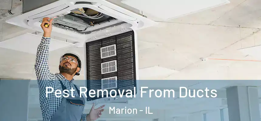  Pest Removal From Ducts Marion - IL