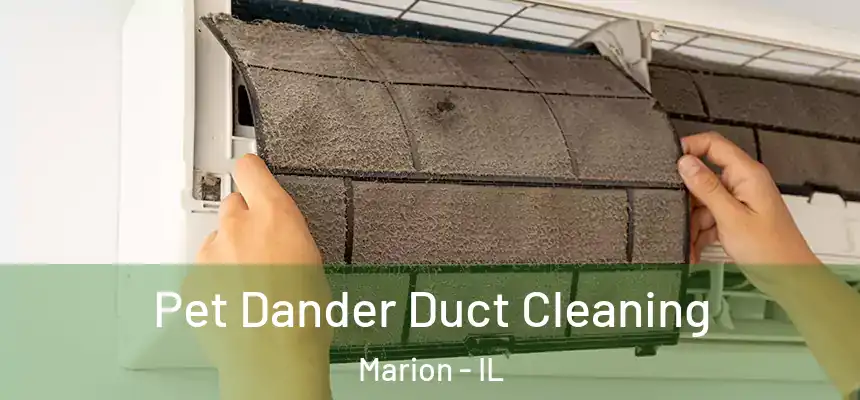 Pet Dander Duct Cleaning Marion - IL