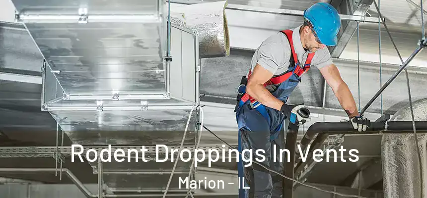 Rodent Droppings In Vents Marion - IL