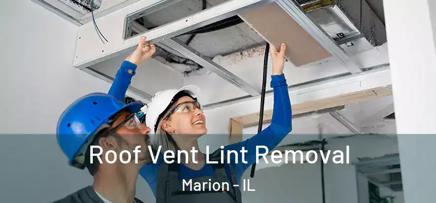 Roof Vent Lint Removal Marion - IL