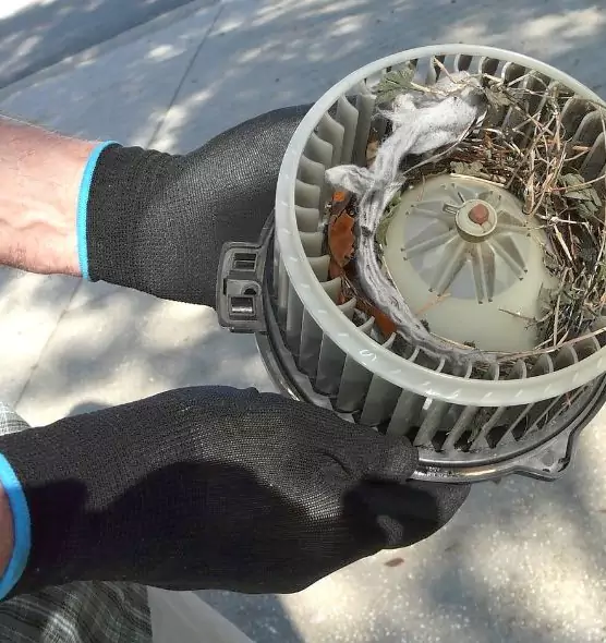 About Air Duct Mice Removal in Marion, IL