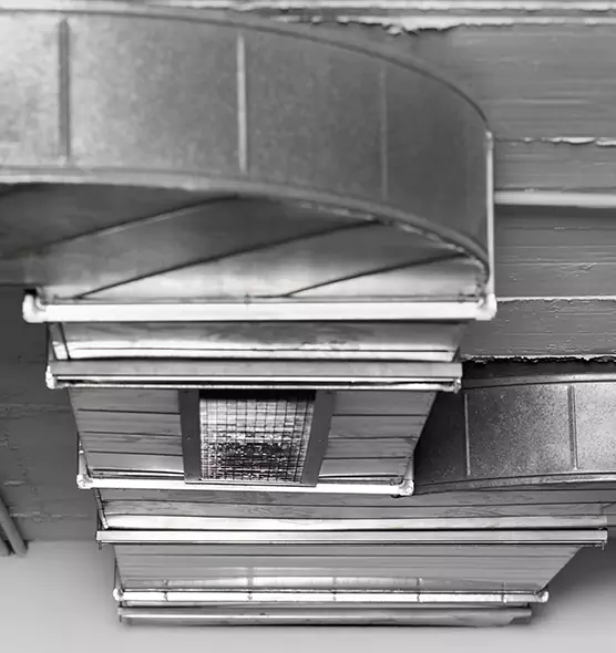 Professional Air Duct Pet Hair Removal in Marion, IL