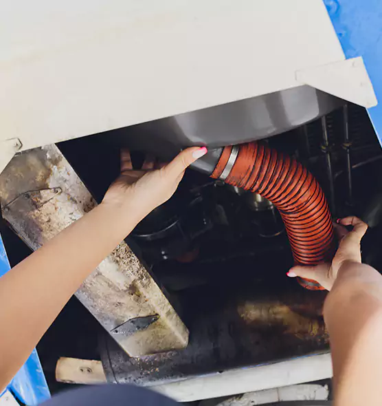 About Air Duct Virus Disinfection in Marion, IL