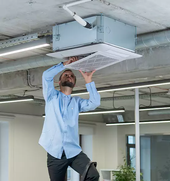 Advanced Rodent Droppings In Vents in Marion, IL