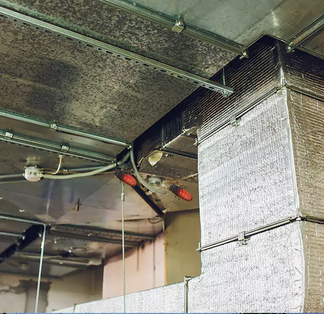 Why Homeowners & Businesses Trust Us in Marion, IL?