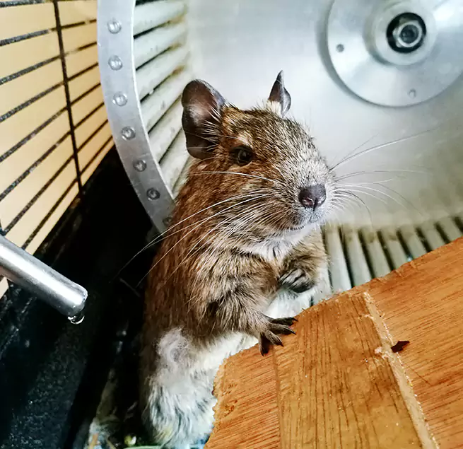 Why Homeowners & Businesses Trust Us Marion, IL