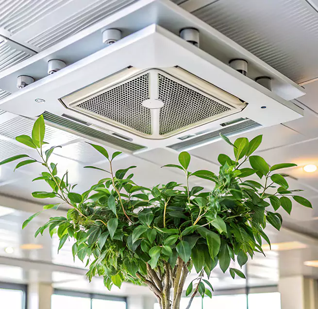 Why Homeowners & Businesses Trust Us in Marion, IL?